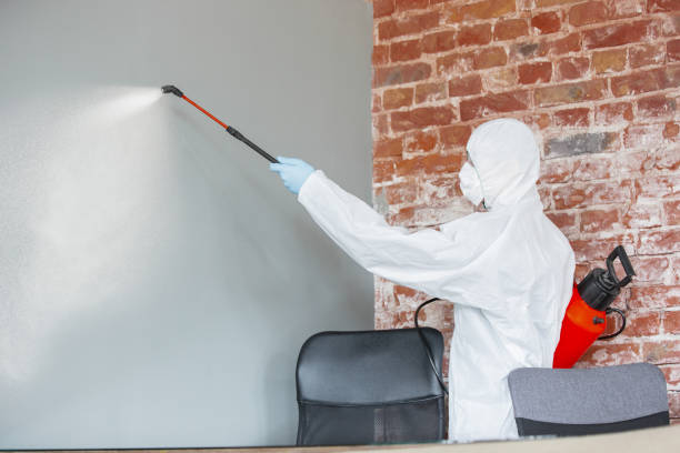 Best Residential Mold Inspection & Testing  in Coal Fork, WV