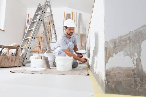 Best Water Damage & Mold Remediation  in Coal Fork, WV